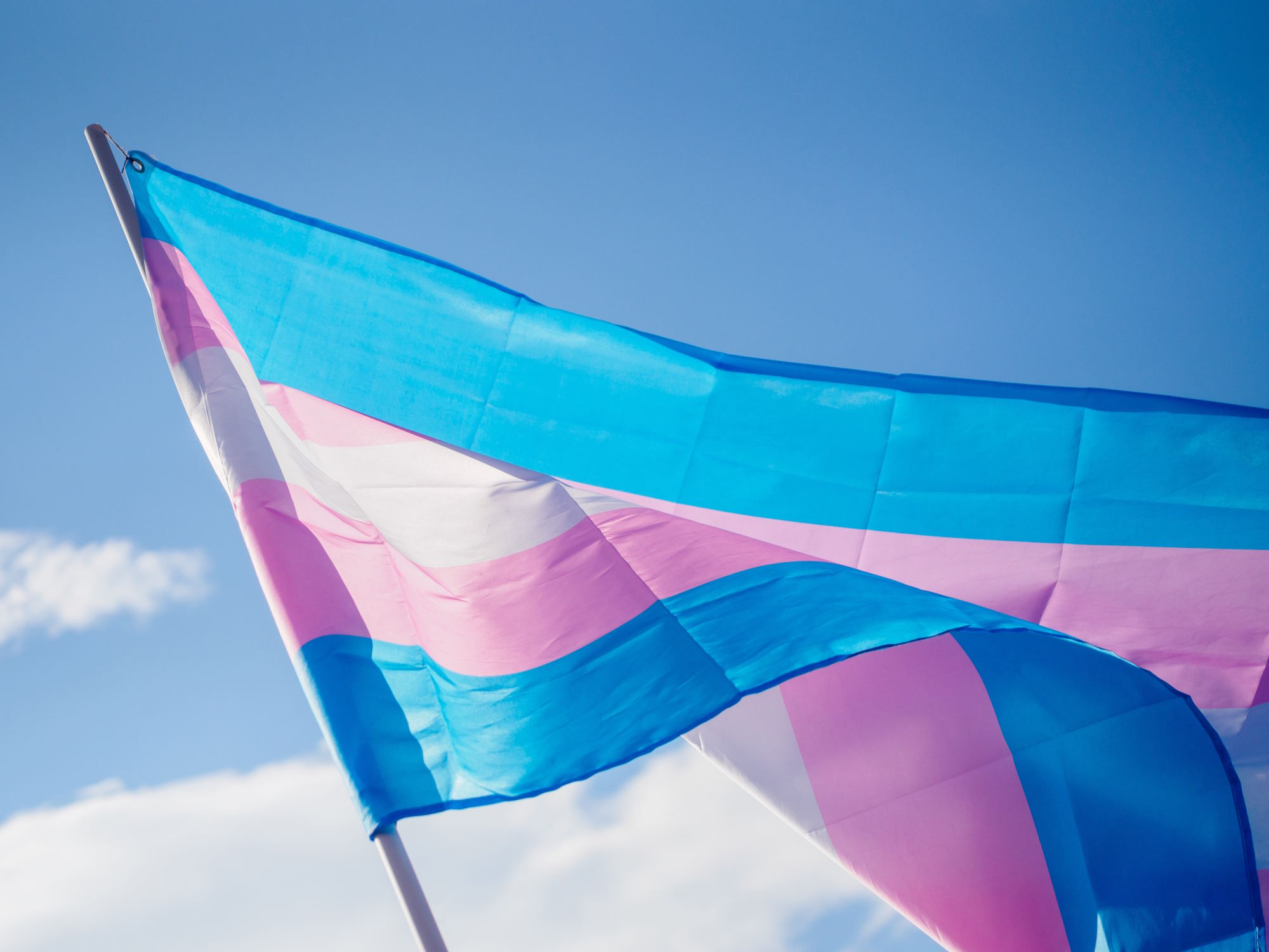 Trans people have always existed